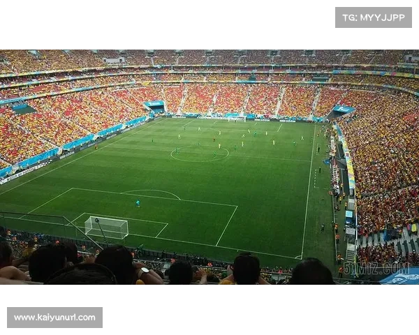 世界杯纽约大都会体育场启用新型草皮系统